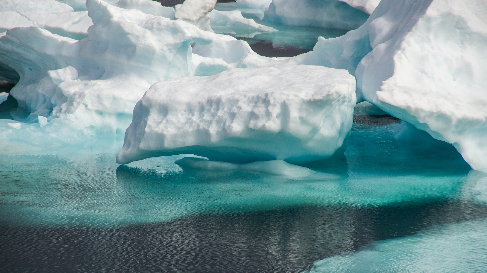 Hielo marino delÁrtico.
